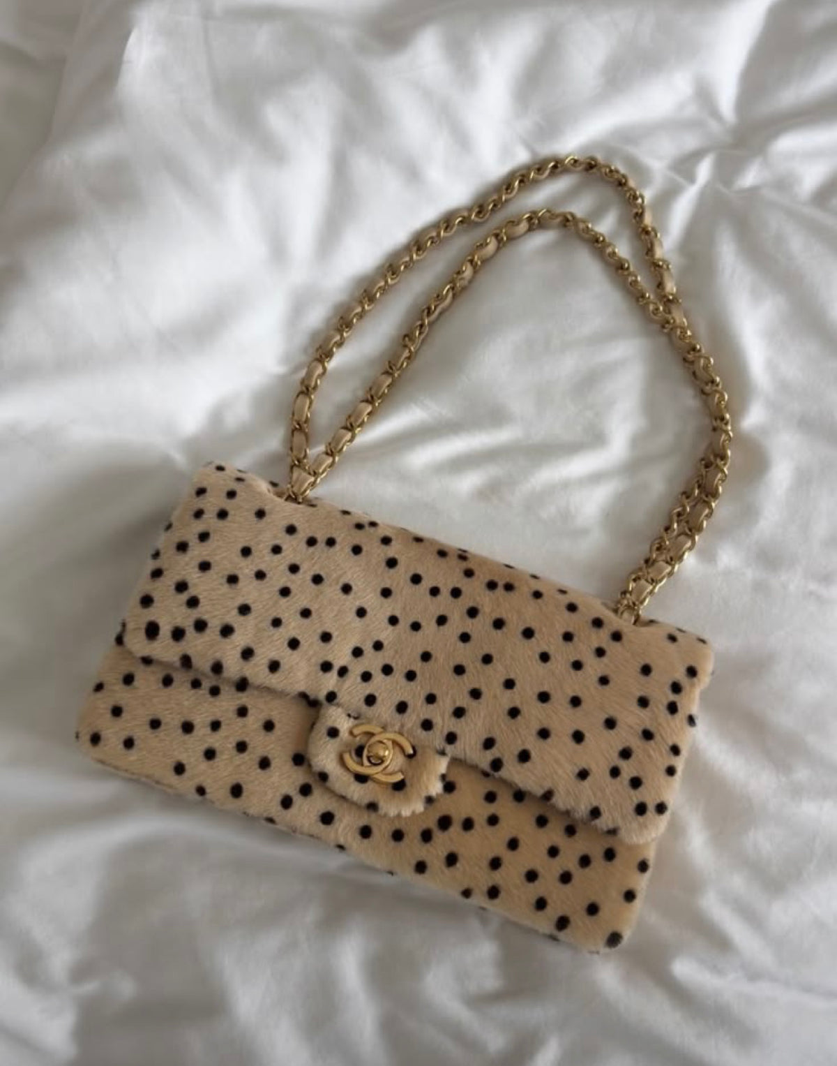 Leopard chain bag medium